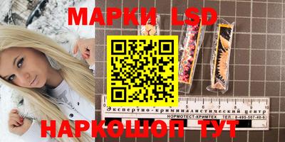 твердый Гусев