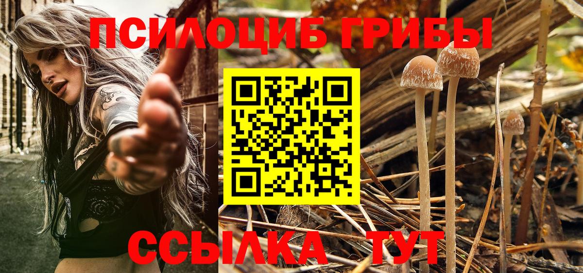 Новодвинск  Псилоцибиновые грибы Magic Shrooms  Галлюциногенные грибы Psilocybe  Вход с VPN 